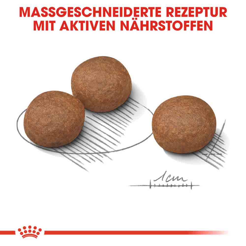Royal Canin Digestive Care Medium Trockenfutter für mittelgroße Hunde mit empfindlicher Verdauung_4