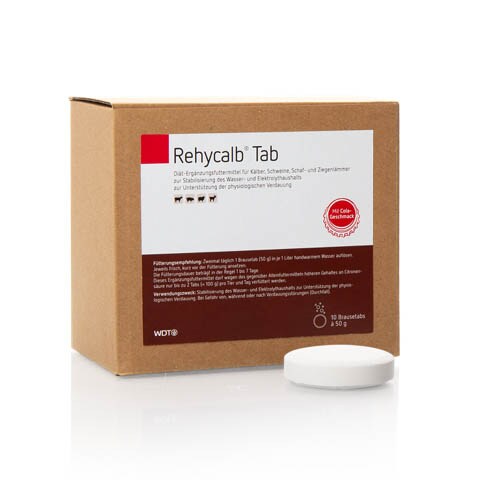 WDT Rehycalb Tab_0