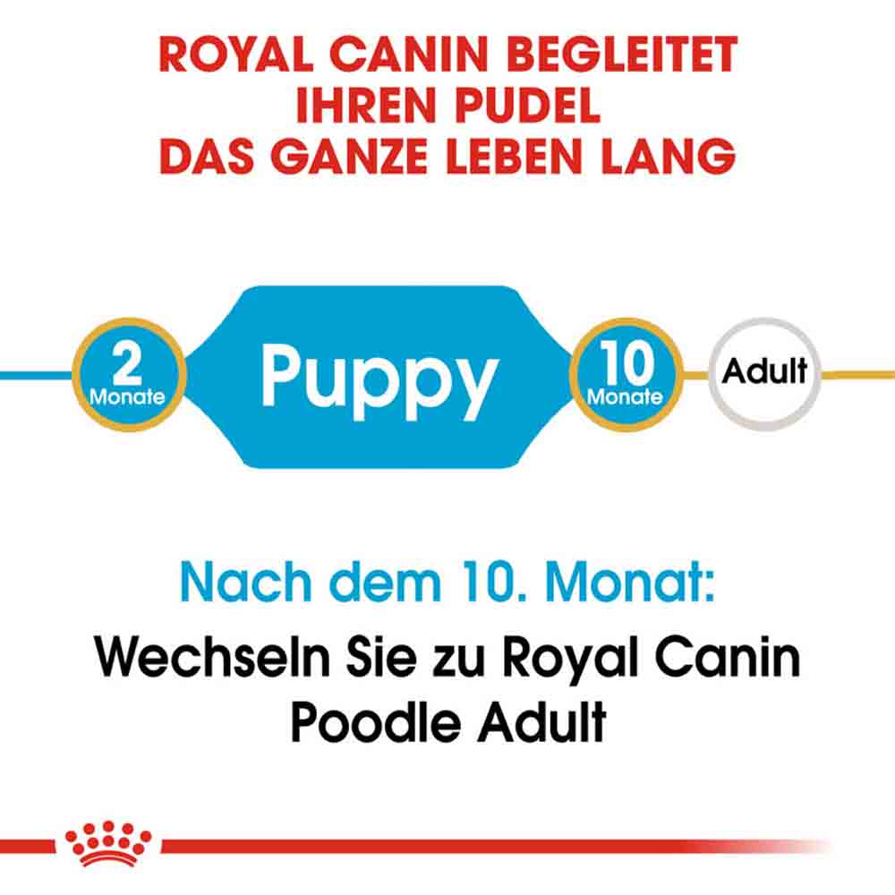 Royal Canin Poodle Puppy Welpenfutter_2