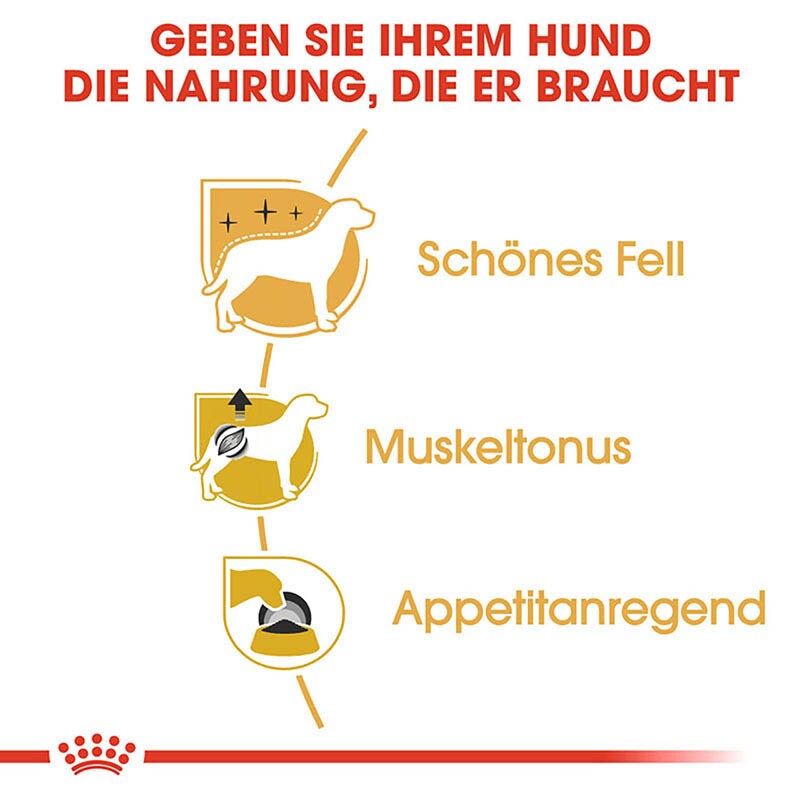 Royal Canin Poodle Adult in Soße Hundefutter nass für Pudel_3