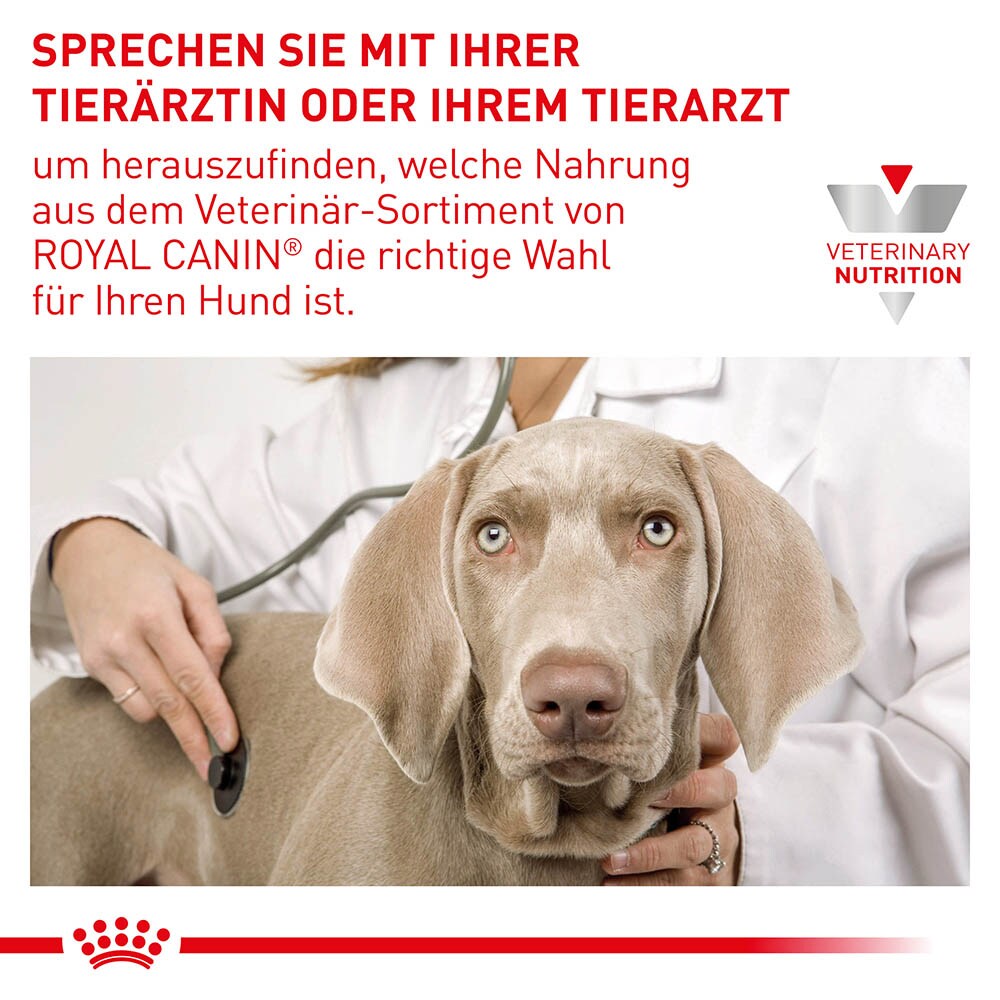 Royal Canin Veterinary Urinary S/O Ageing 7+ Trockenfutter für Hunde_7