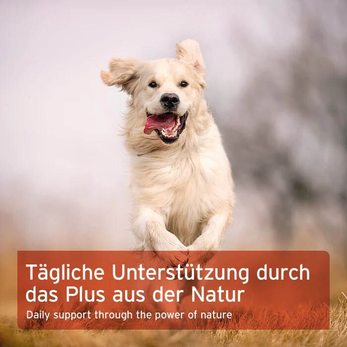 AniForte Hagebutten Pulver für Hunde_5