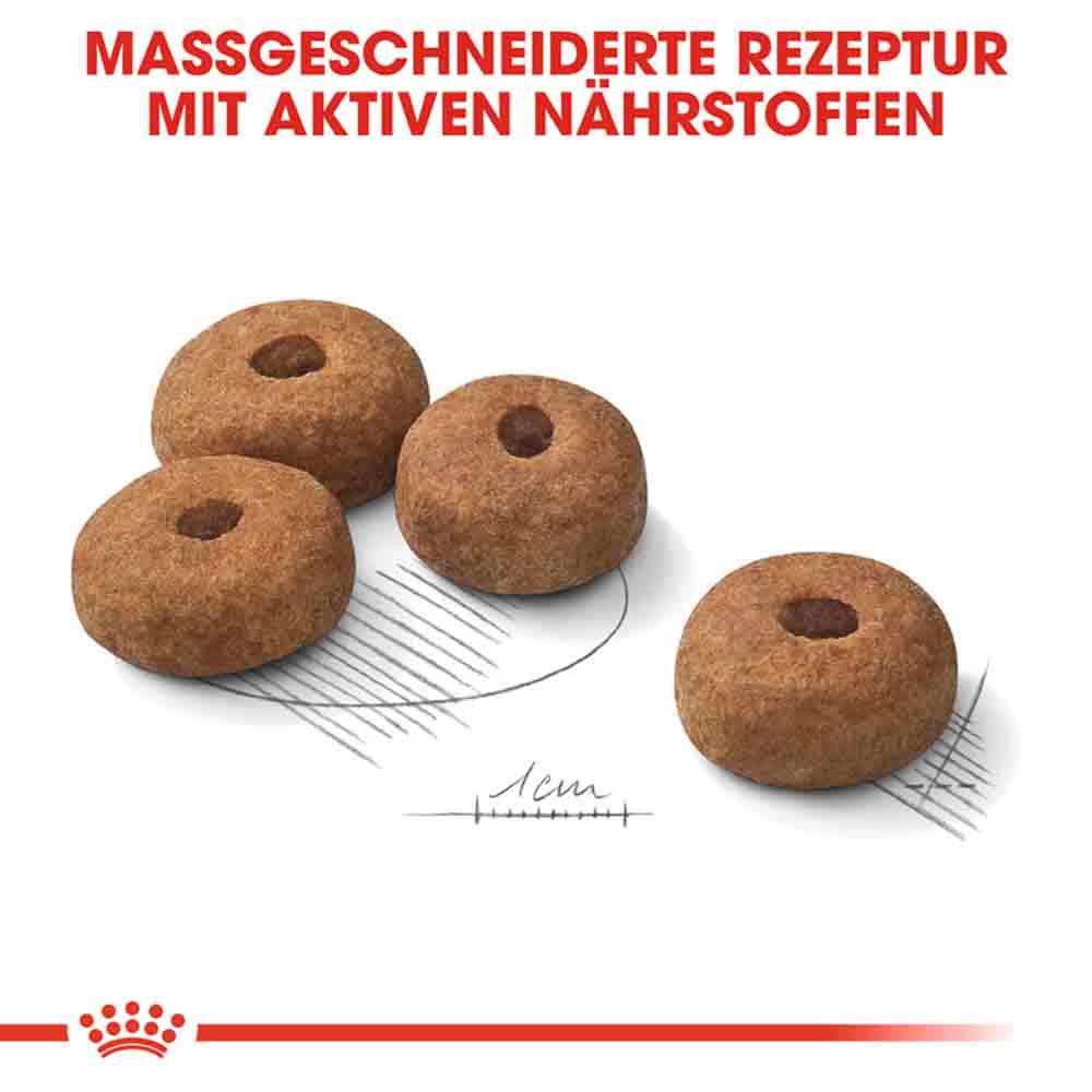 Royal Canin Sterilised Maxi Trockenfutter für kastrierte große Hunde_4