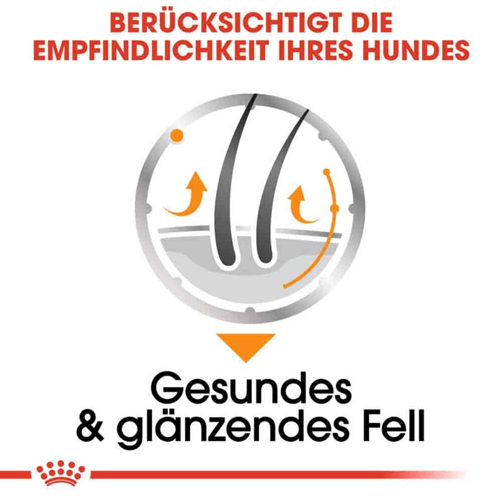 Royal Canin Coat Care Nassfutter für glänzendes Fell_3