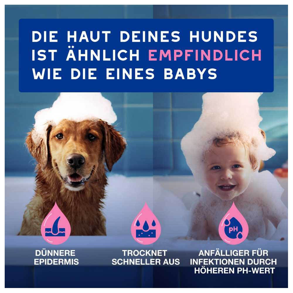 Douxo Spa Shampoo gegen Juckreiz_3