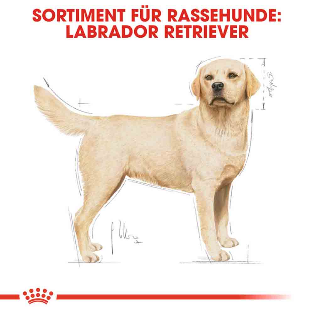 Royal Canin Labrador Retriever Adult Hundefutter trocken_2