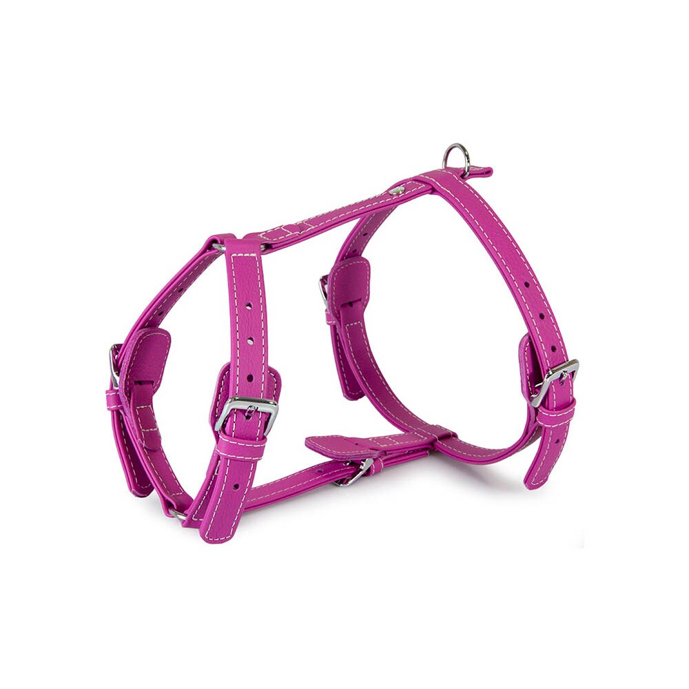 Das Lederband Barcelona Geschirr Rose-Violet_0