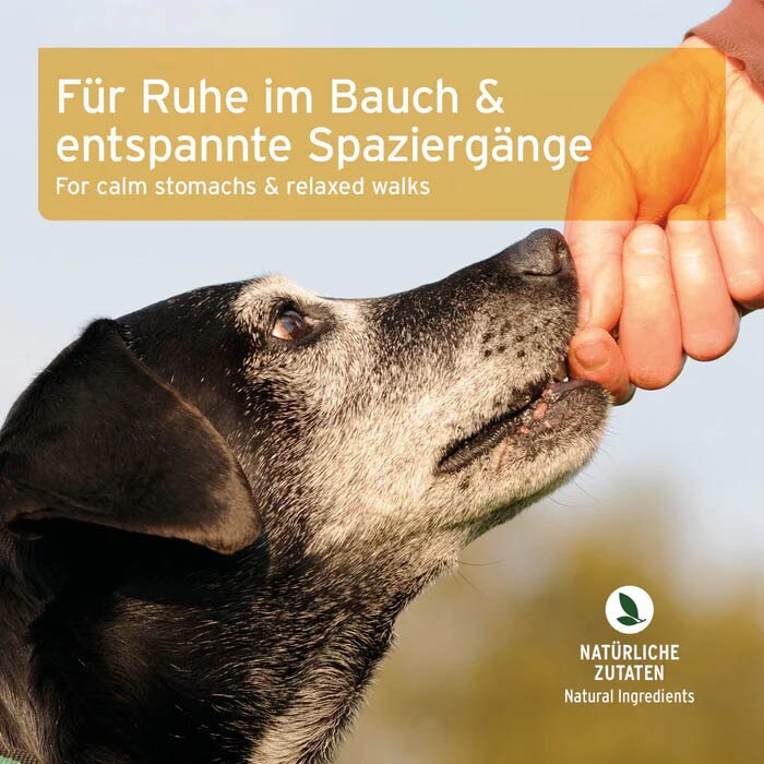 AniForte Gras- & Kotfresser Snack_6