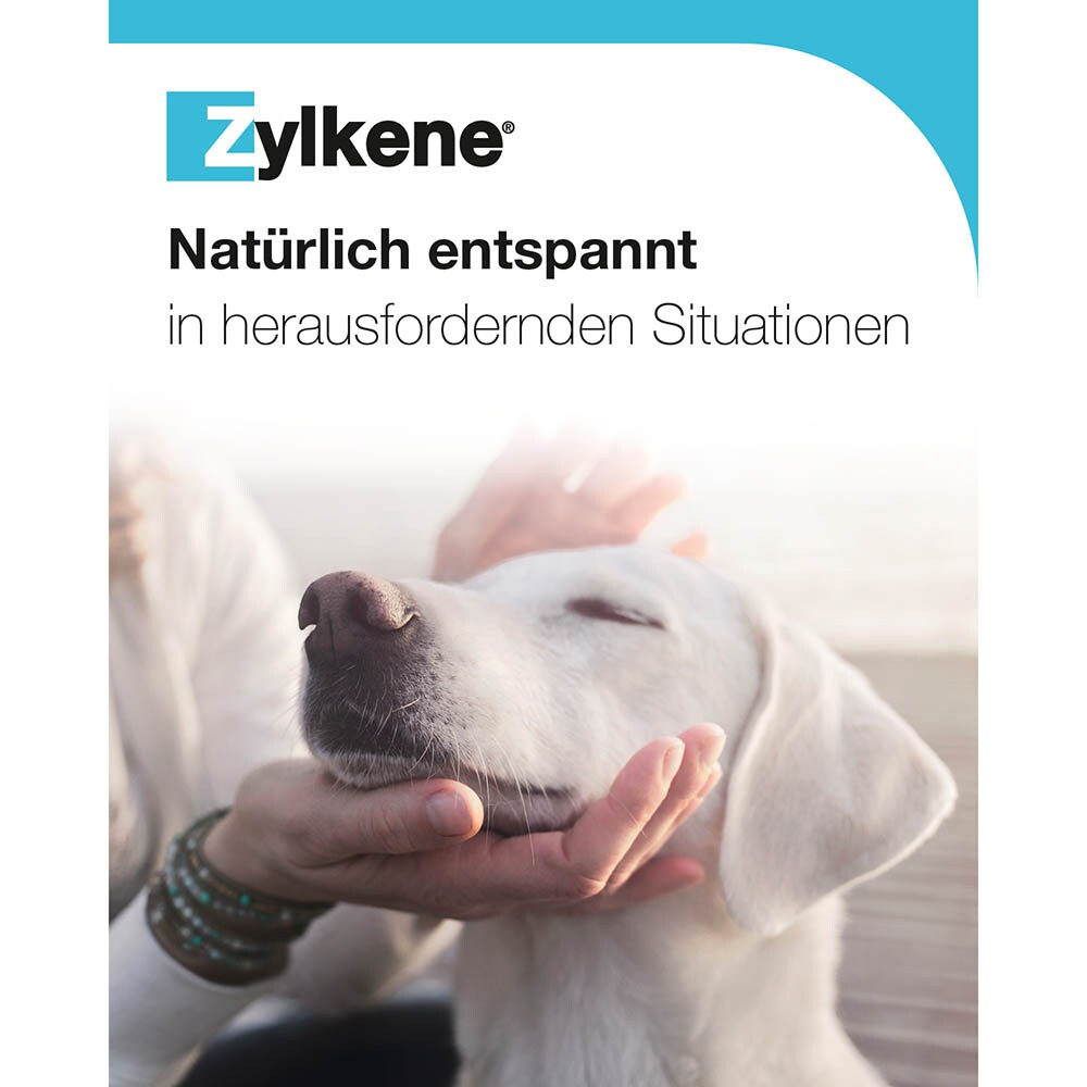Zylkene Chews_4