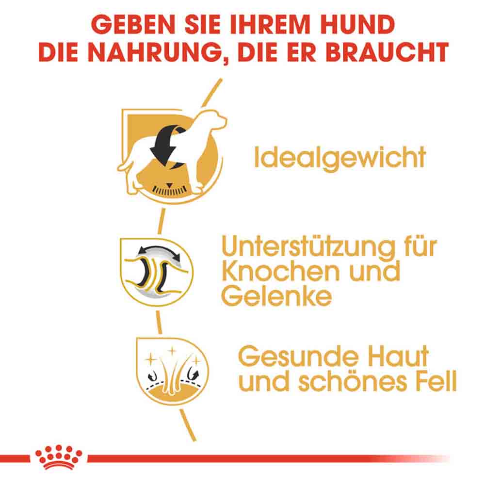 Royal Canin Labrador Retriever Adult Hundefutter trocken_3