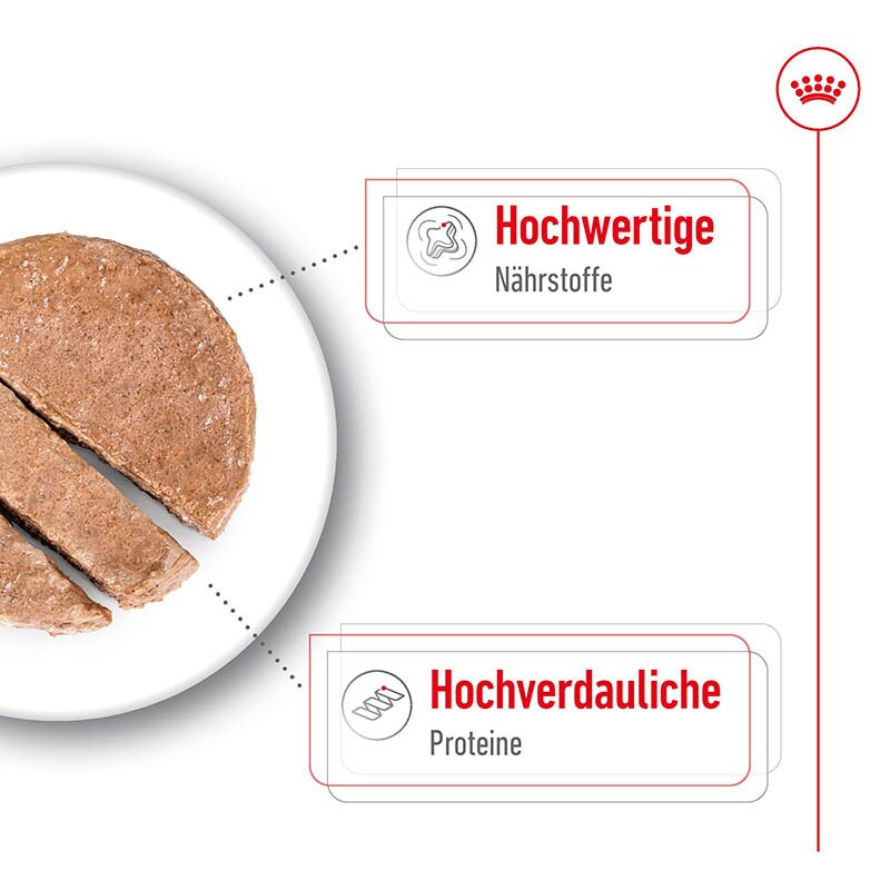 Royal Canin Maxi Adult Feuchtnahrung als Mousse (>15. Lebensmonat)_2