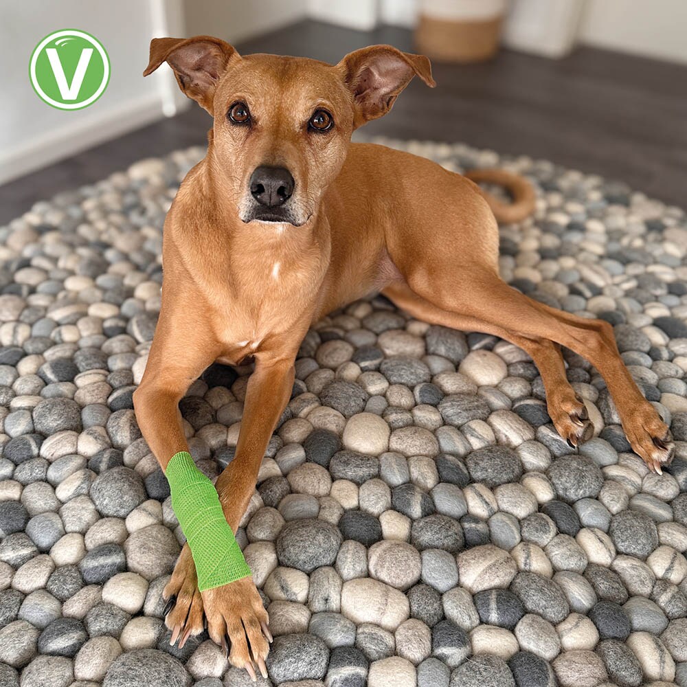 Vetlando Anti-Lick-Bandage apple_3