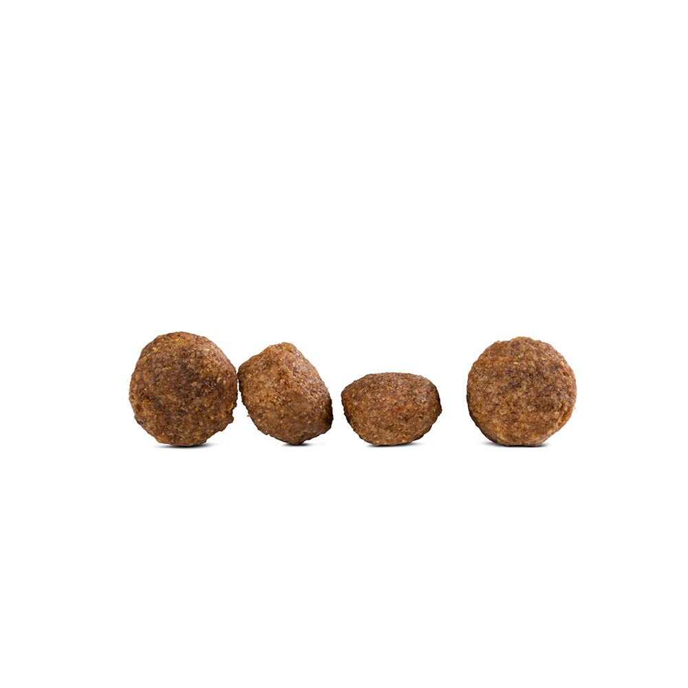 Happy Dog fit & vital Mini Senior_1