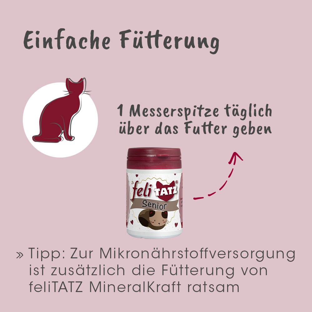cdVet feliTATZ Senior_5