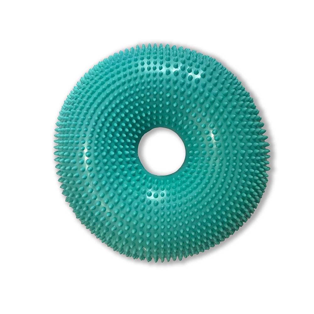 Flexiness DonutDisk Aqua_0