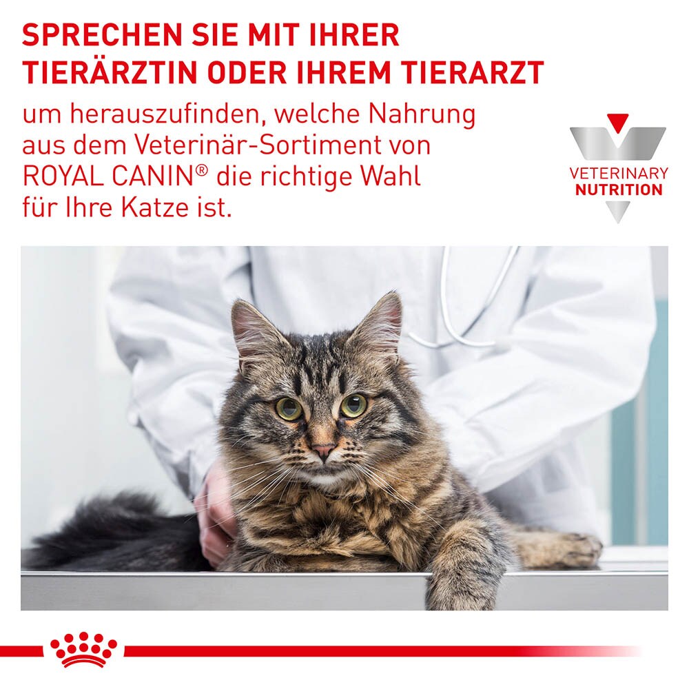 Royal Canin Expert Mature Consult Balance Mousse Nassfutter für Katzen_7