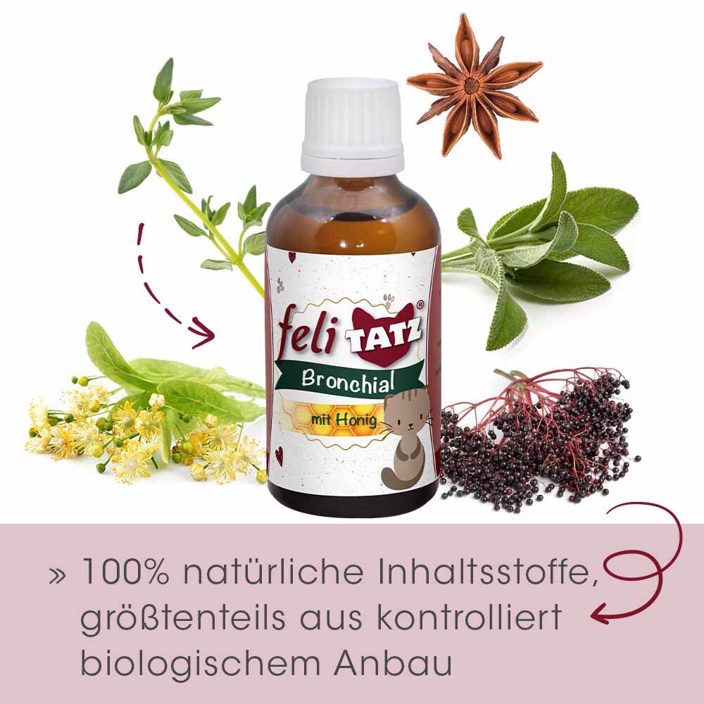 cdVet feliTATZ Bronchial_3