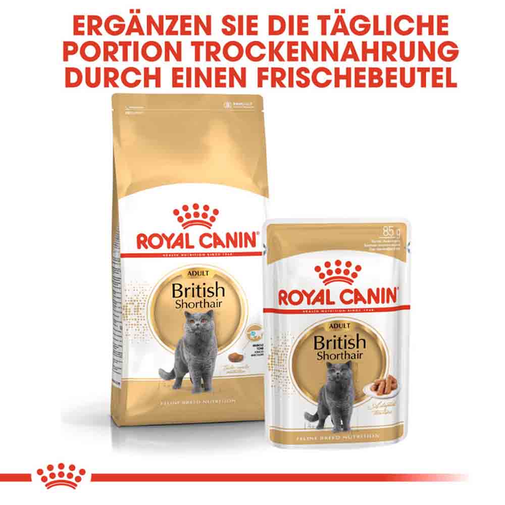 Royal Canin British Shorthair Adult Katzenfutter nass für Britisch Kurzhaar_5