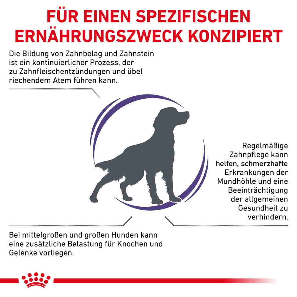 Royal Canin Expert Dental Medium & Large Dogs Trockenfutter für Hunde_2