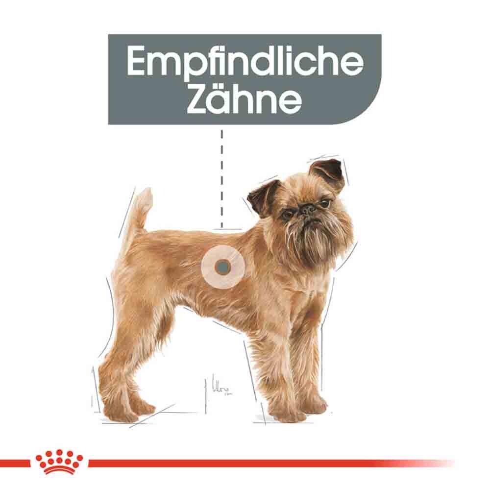 Royal Canin Dental Care Mini Trockenfutter für kleine Hunde mit empfindlichen Zähnen_2
