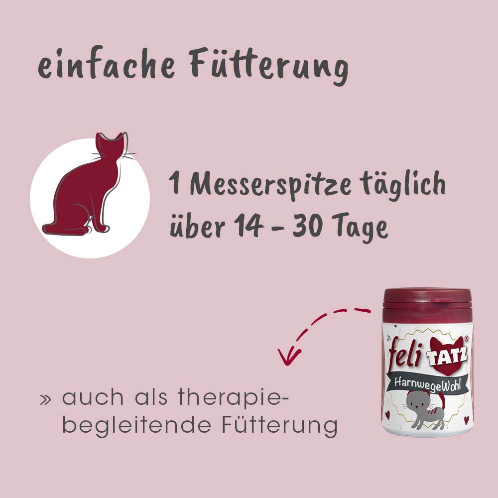 cdVet feliTATZ HarnwegeWohl_4