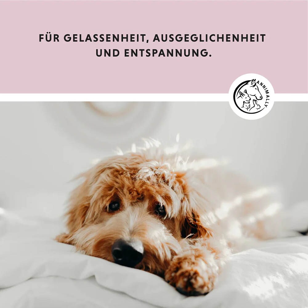 Annimally Relax Tabletten _3