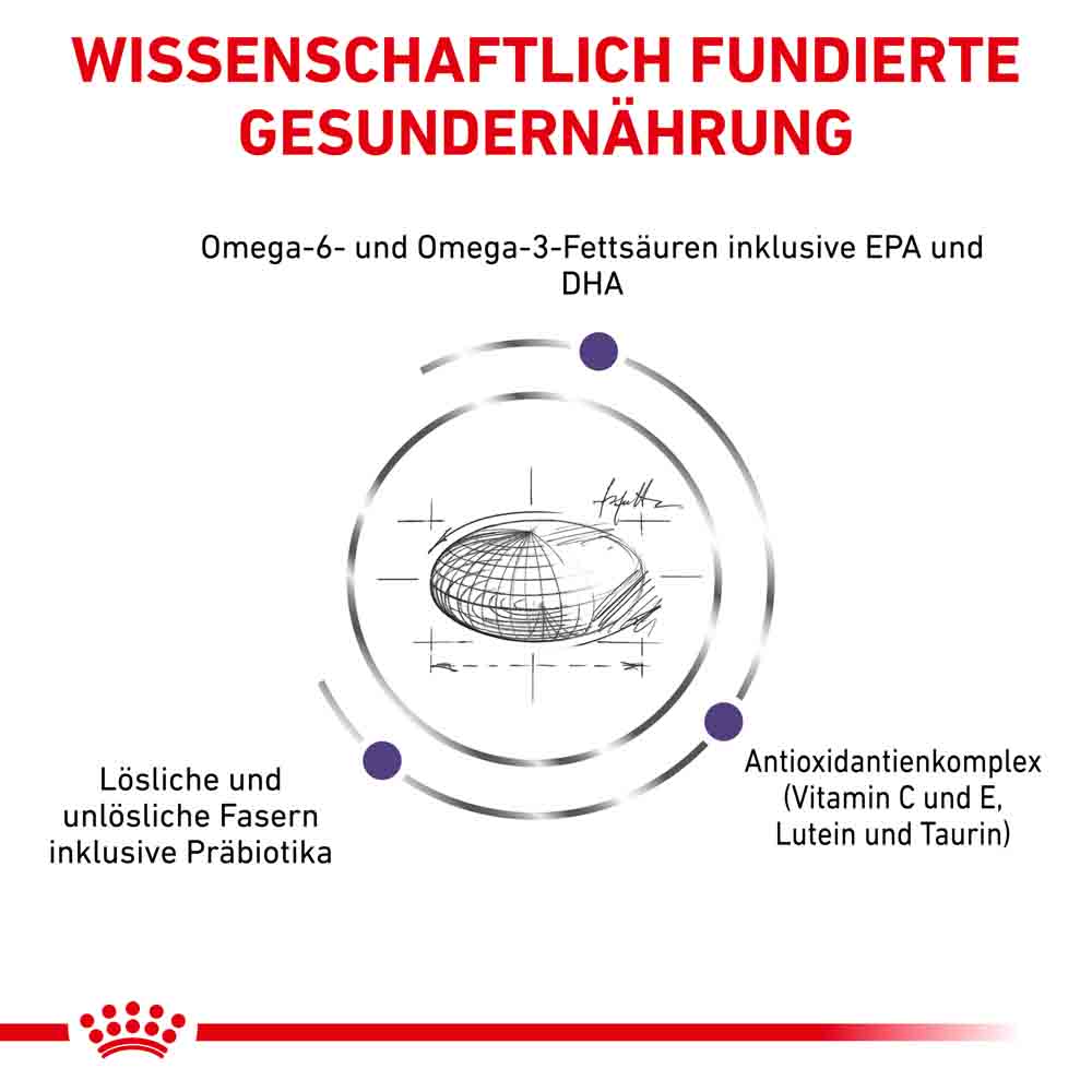 Royal Canin Expert Adult Medium Dogs Trockenfutter für Hunde_3