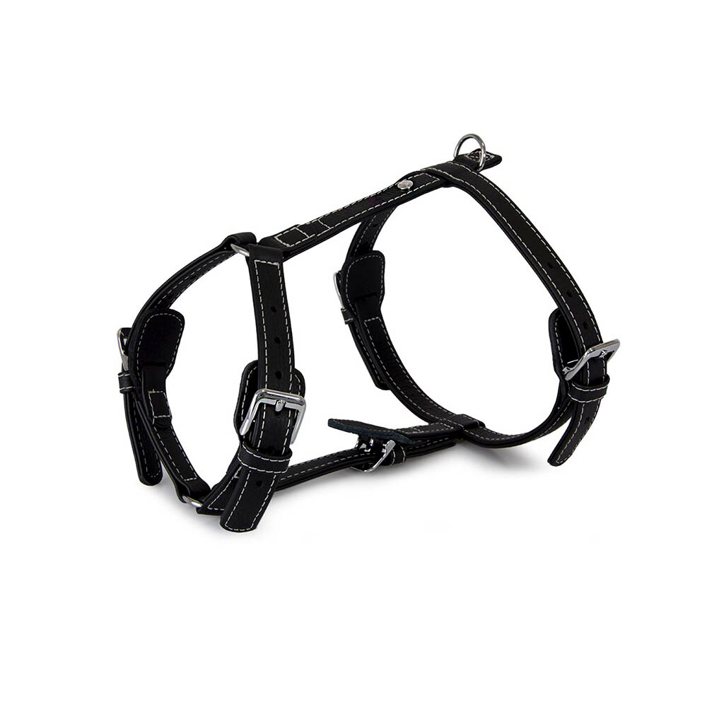 Das Lederband Barcelona Geschirr Black_0