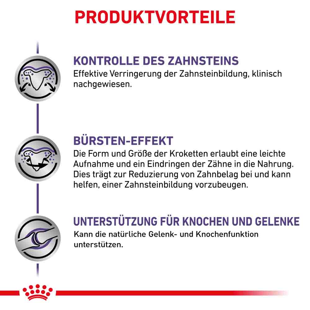Royal Canin Expert Dental Medium & Large Dogs Trockenfutter für Hunde_4