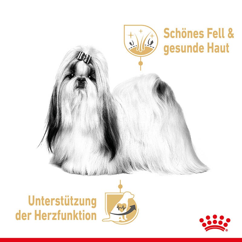 Royal Canin Shi Tzu Adult Mousse Hundefutter nass für Shi Tzu_2