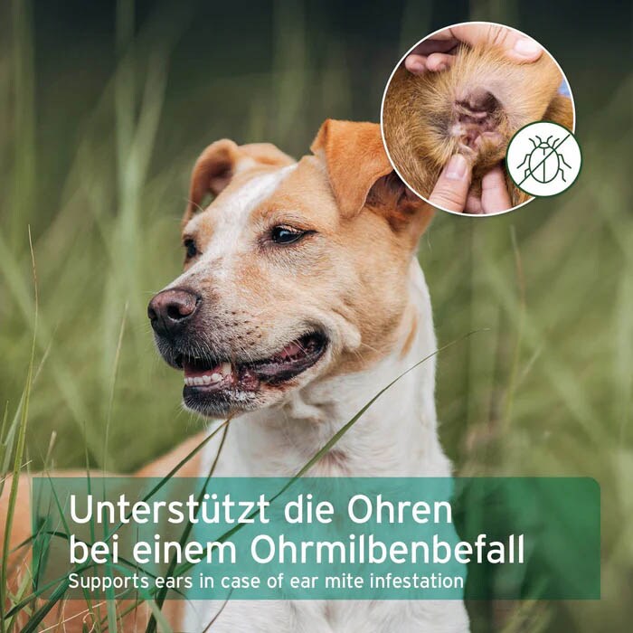 AniForte Ohrmilbenöl_5