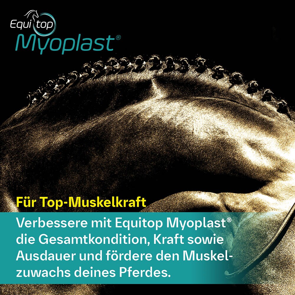 Boehringer Ingelheim Equitop Myoplast Granulat_2