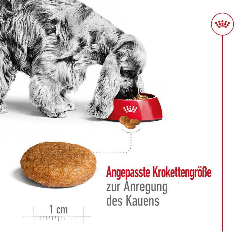 Royal Canin Medium Adult Trockenfutter für mittelgroße Hunde_4