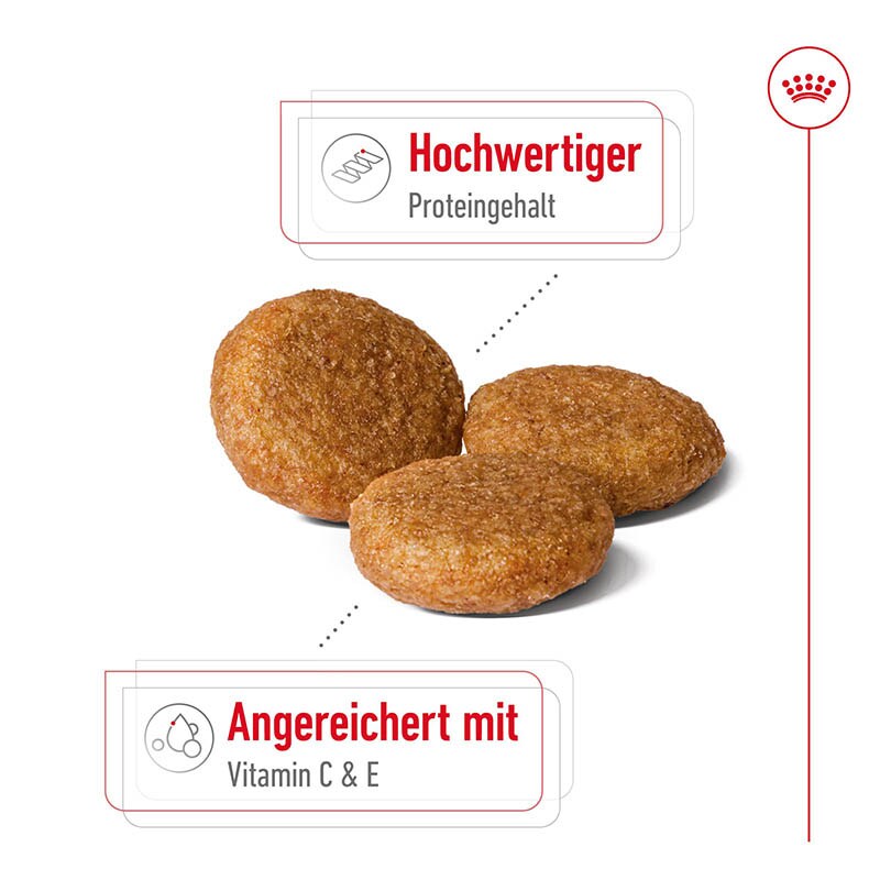 Royal Canin Medium Adult Trockenfutter für mittelgroße Hunde_3