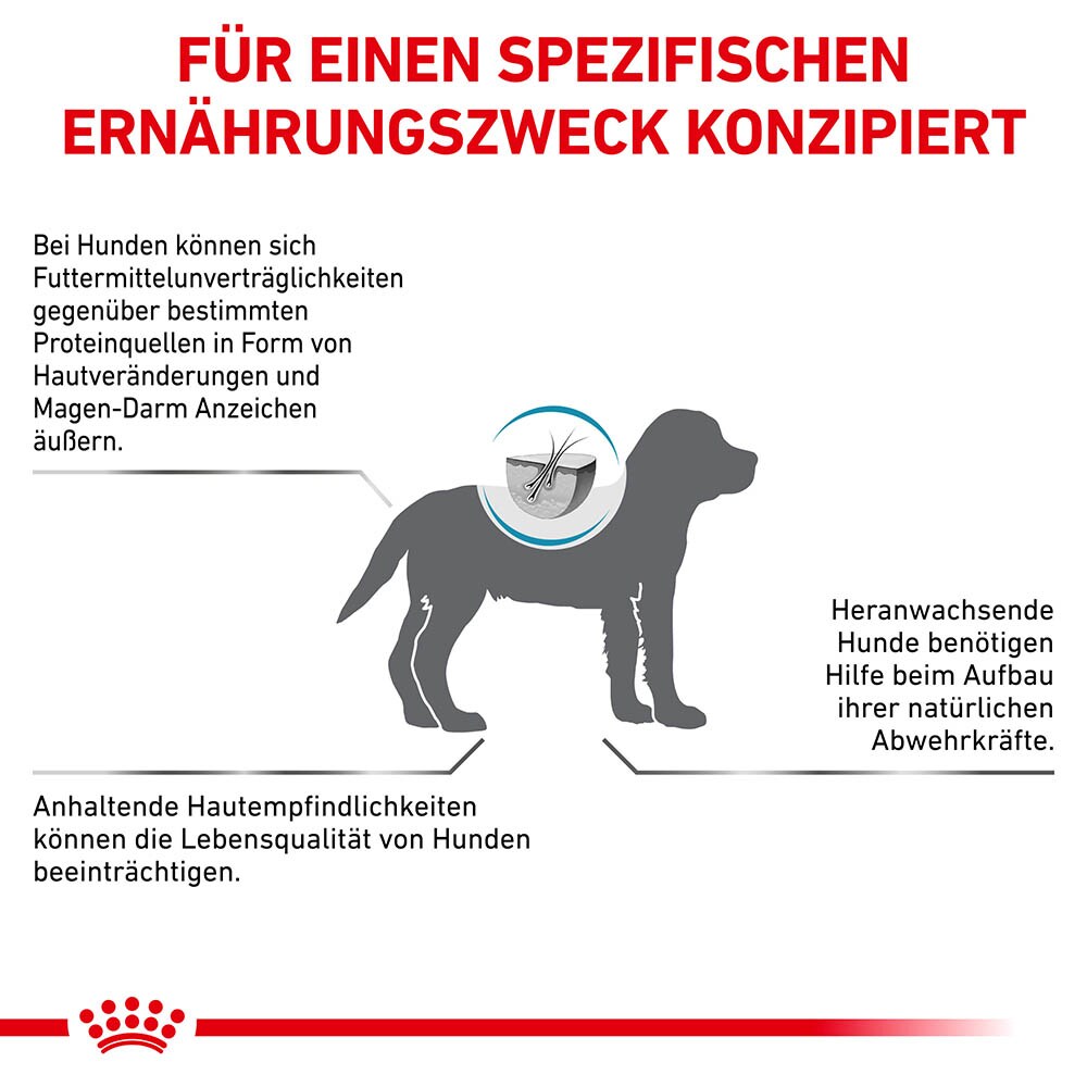 Royal Canin Hypoallergenic Puppy Trockennahrung für Hundewelpen _5