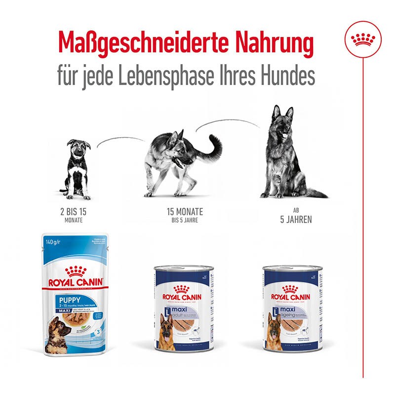 Royal Canin Maxi Adult Feuchtnahrung als Mousse (>15. Lebensmonat)_3