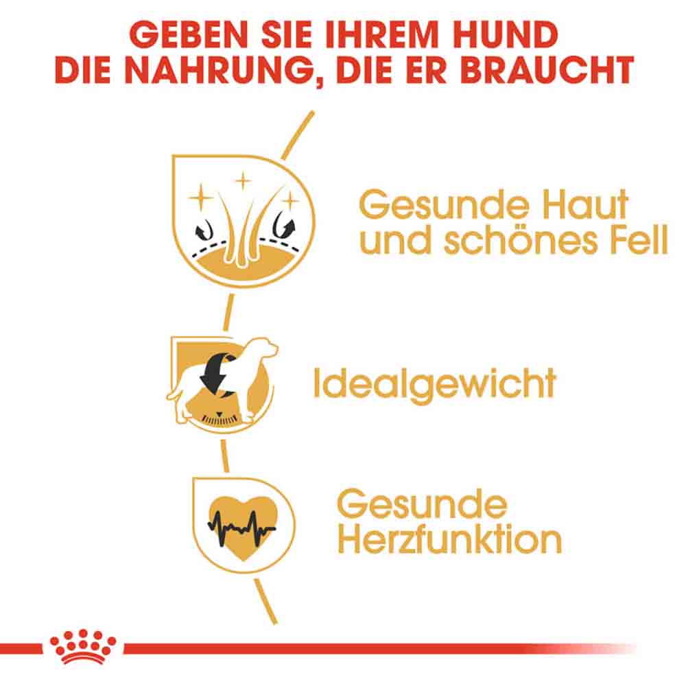 Royal Canin Cocker Adult Hundefutter trocken_3