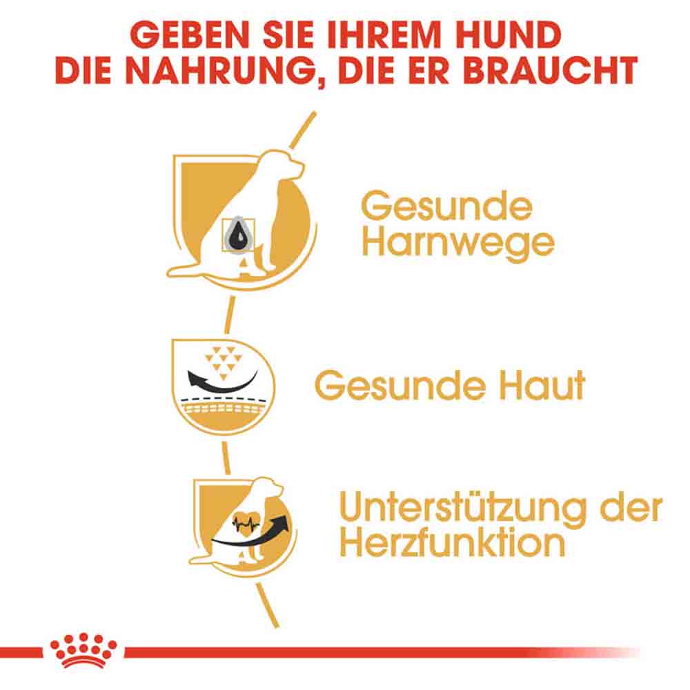 Royal Canin Dalmatian Adult Hundefutter trocken_3