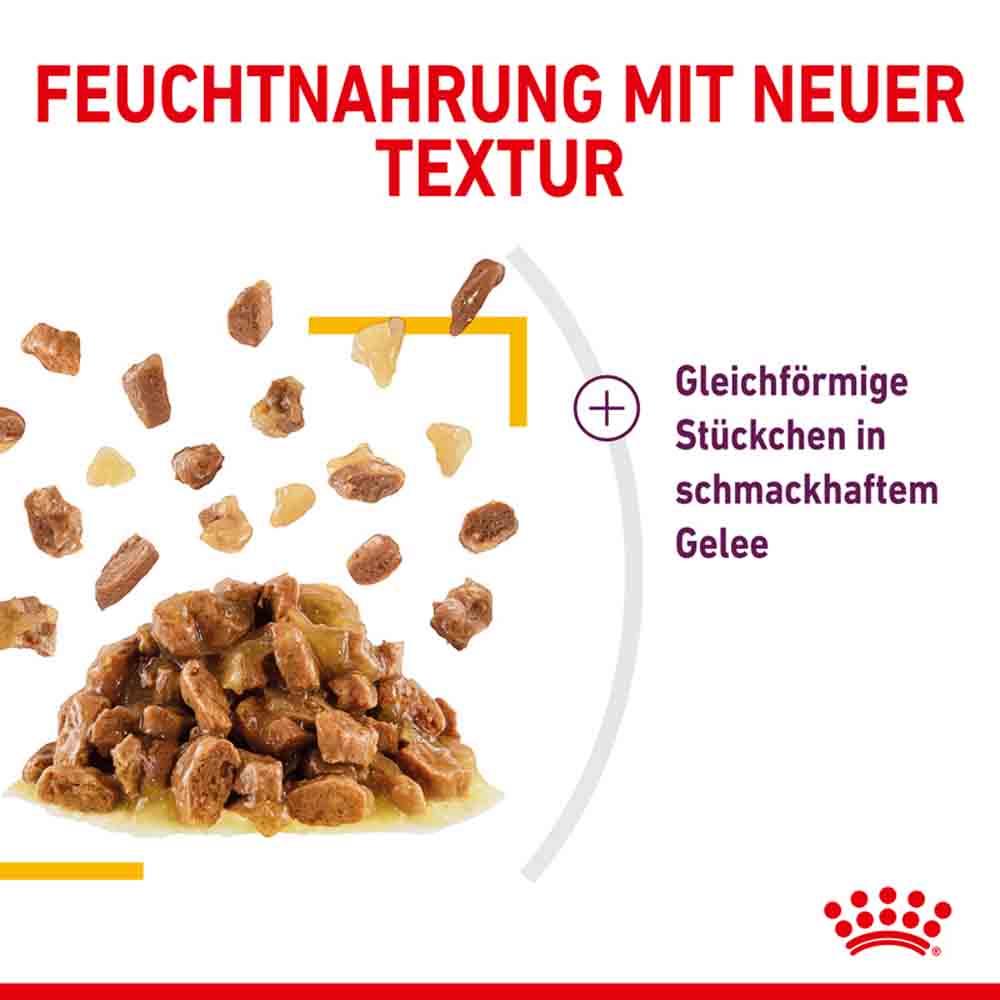 Royal Canin Sensory Taste Nassfutter in Gelee für wählerische Katzen_4