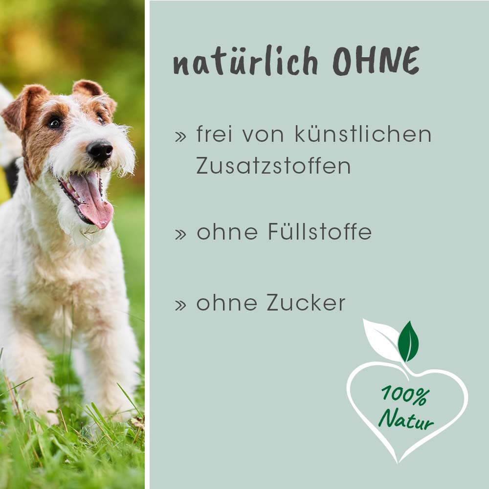 cdVet insektoVet Bio-Kokos-Schwarzkümmel-Öl_5