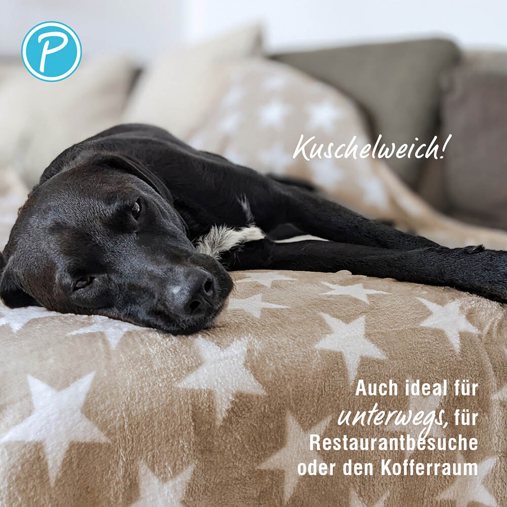 Petlando Kuscheldecke Stars beige_2