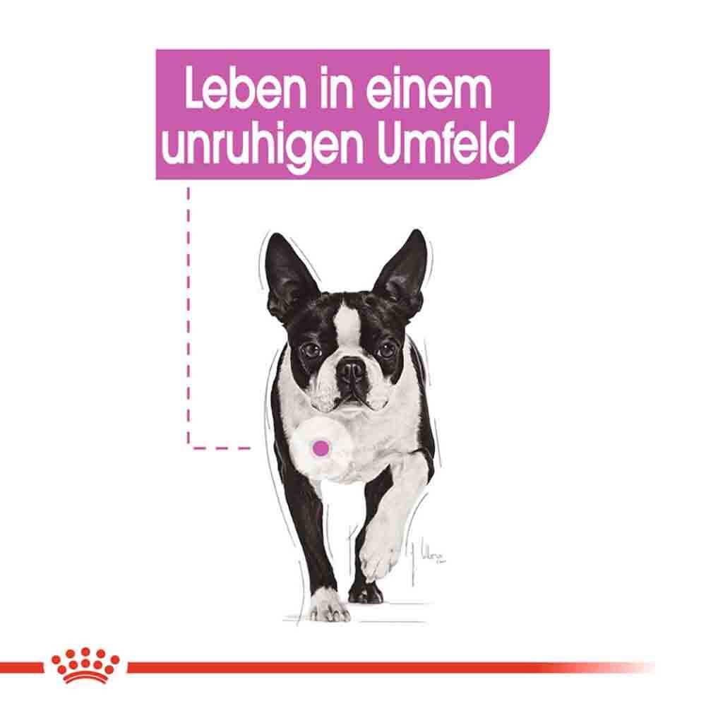 Royal Canin Relax Care Mini Trockenfutter für kleine Hunde in unruhigem Umfeld_2