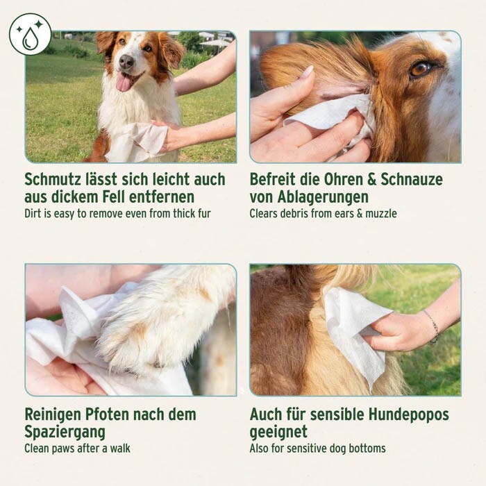 AniForte Pflegetücher_4