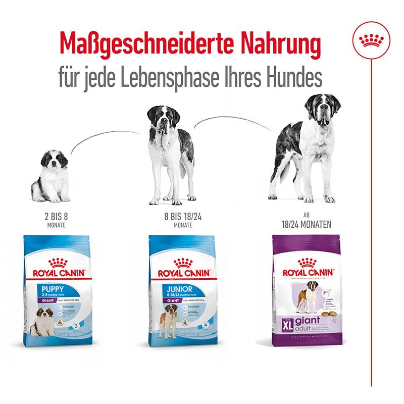 Royal Canin Giant Adult Trockenfutter für sehr große Hunde_4