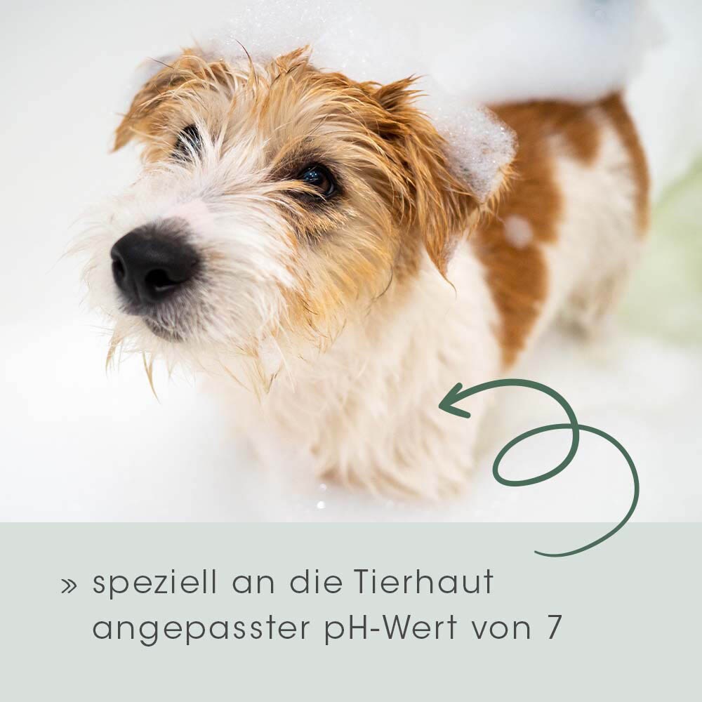 cdVet VeaVet Pflegeshampoo_2