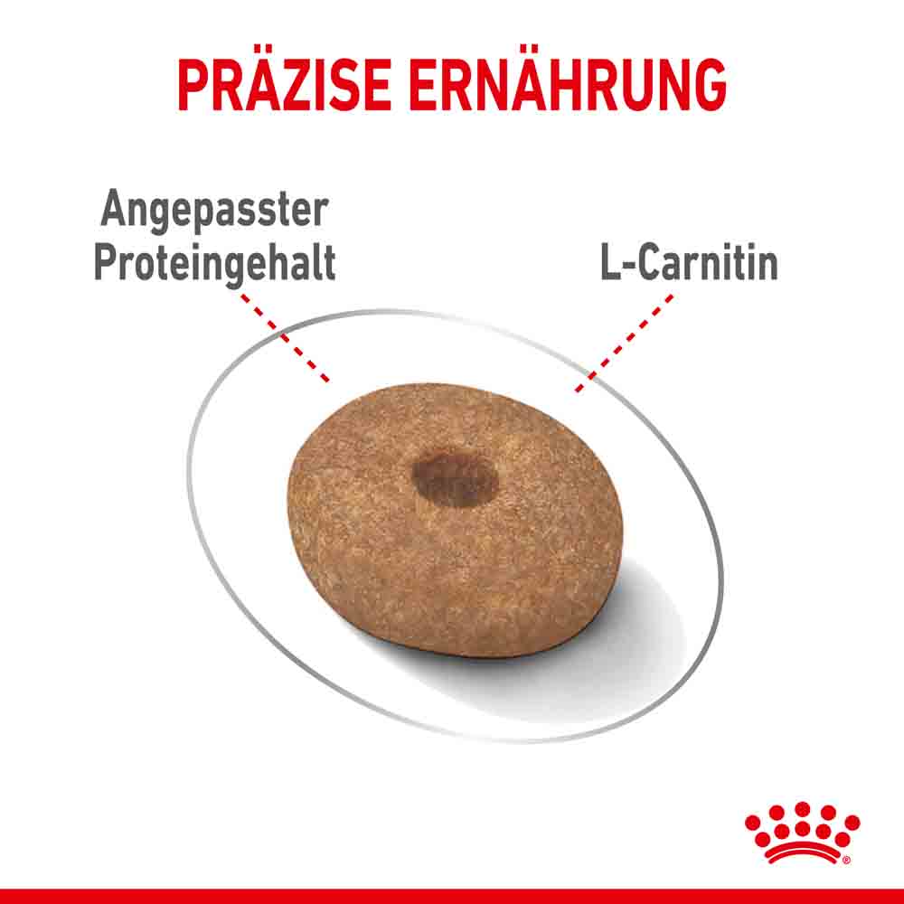 Royal Canin light weight care mini Trockenfutter für zu Übergewicht neigenden Hunden_4