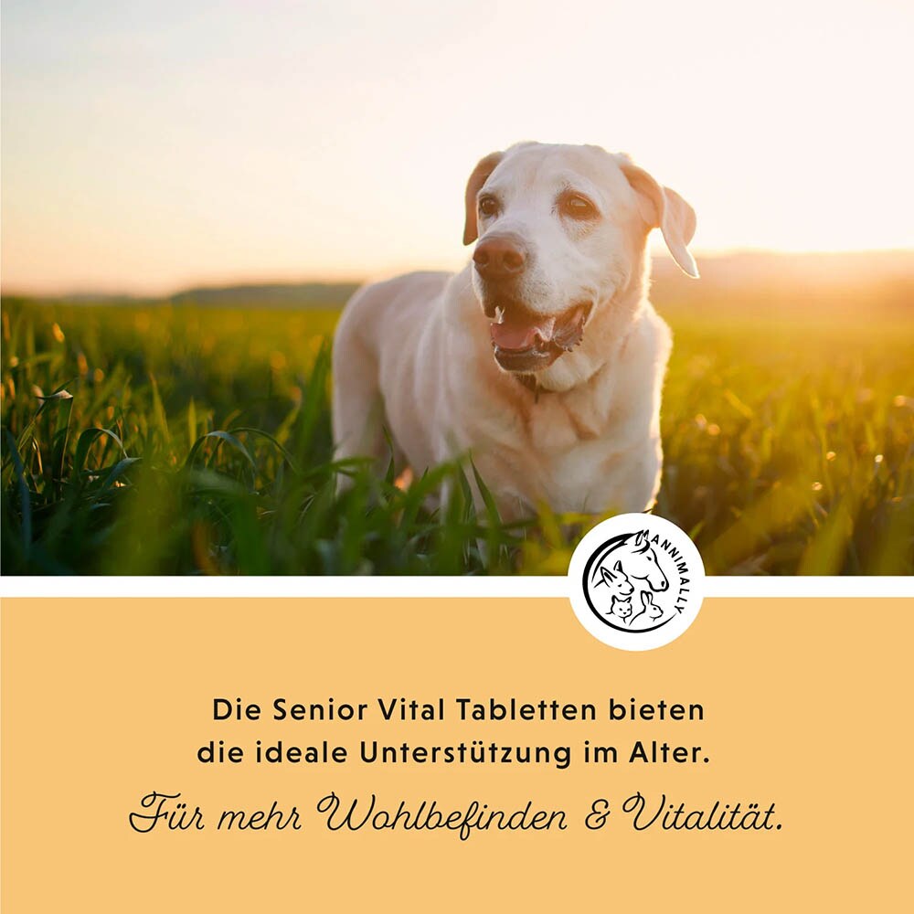 Annimally Senior Vital Tabletten_2