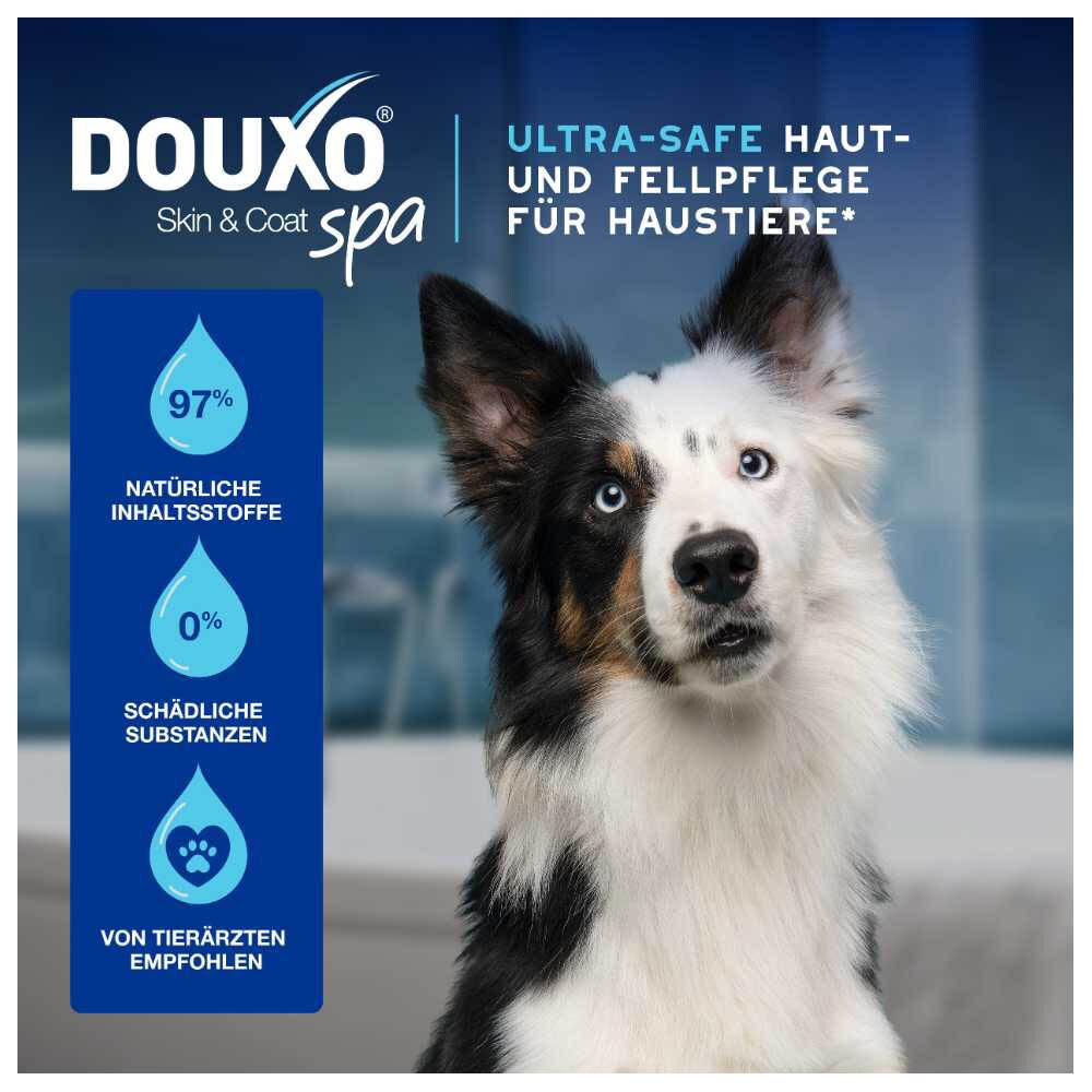 Douxo Spa Trockenshampoo für Hunde_3