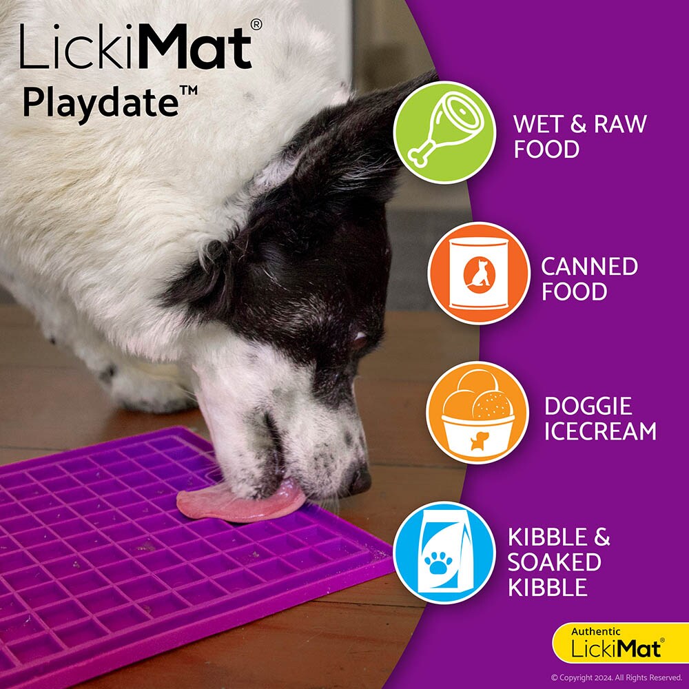 LickiMat Classic Playdate_4