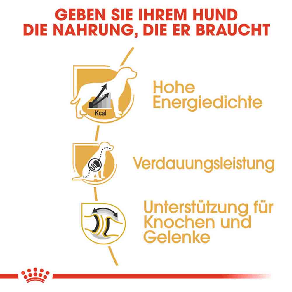 Royal Canin Great Dane Adult Hundefutter trocken_3